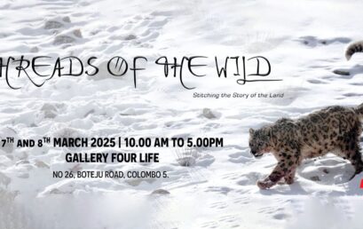 Threads of the Wild – MAS Wildlife Photography Exhibition 